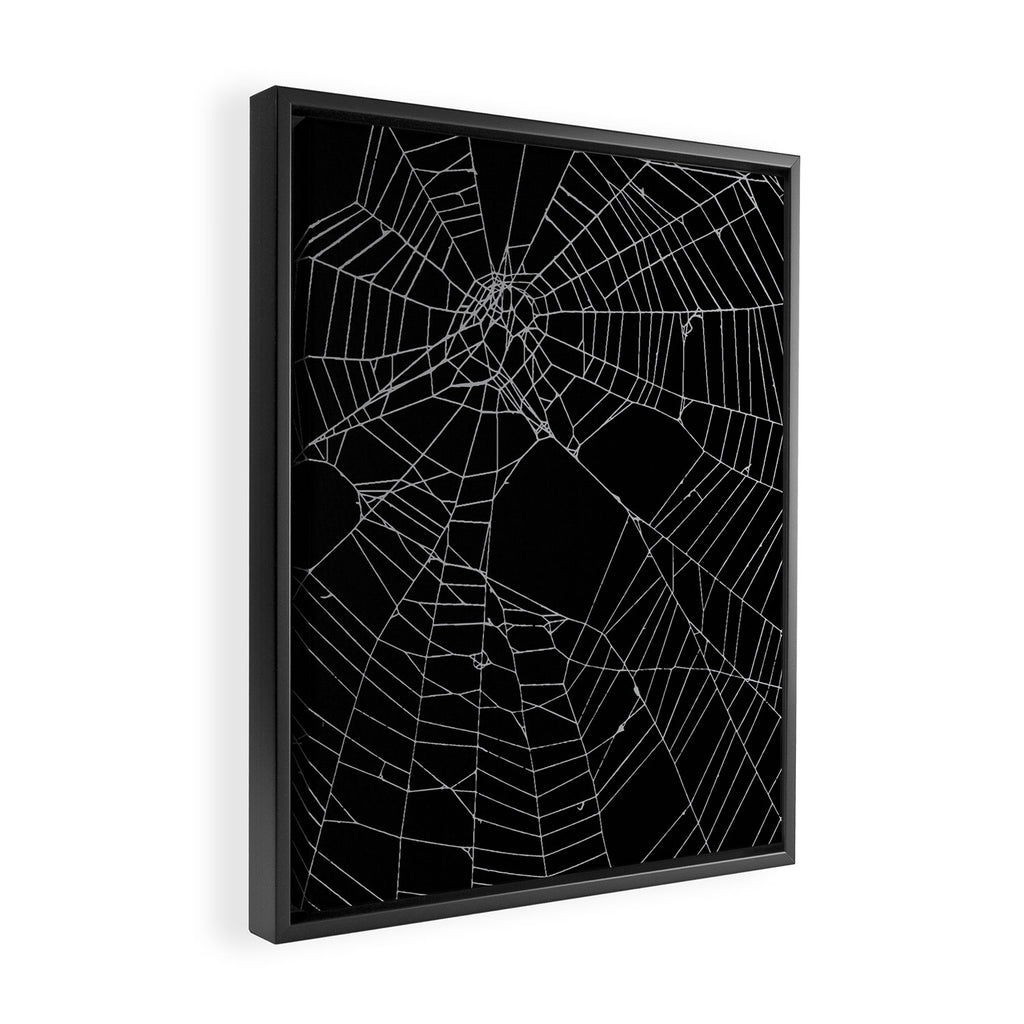 SpiderWeb Web Framed Canvas Print Gallery Image 2