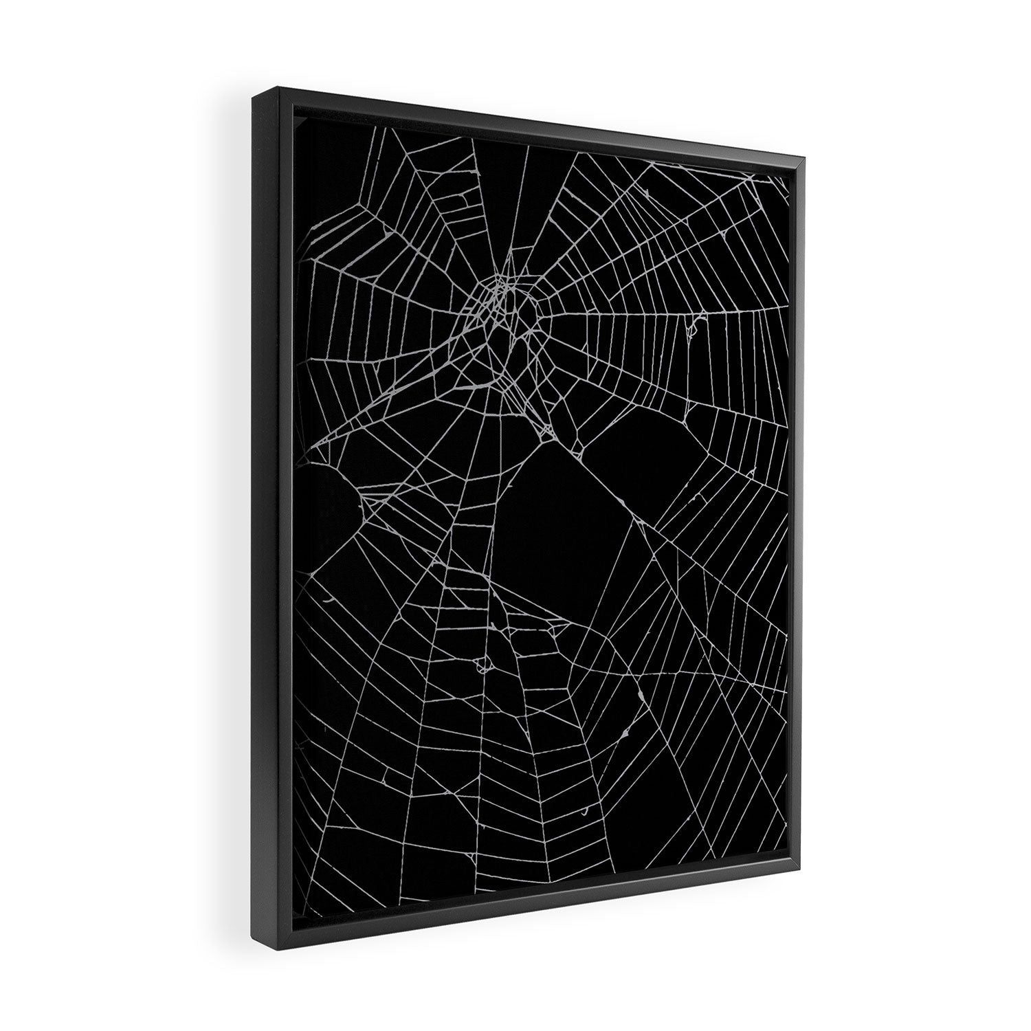 SpiderWeb Web Framed Canvas Print Gallery Image 2