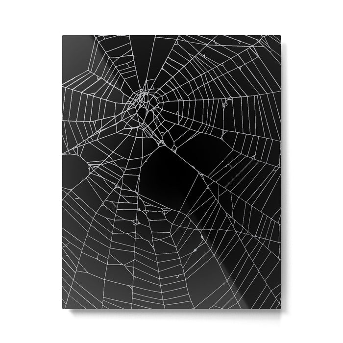 SpiderWeb Web Metal Print Gallery Image 1