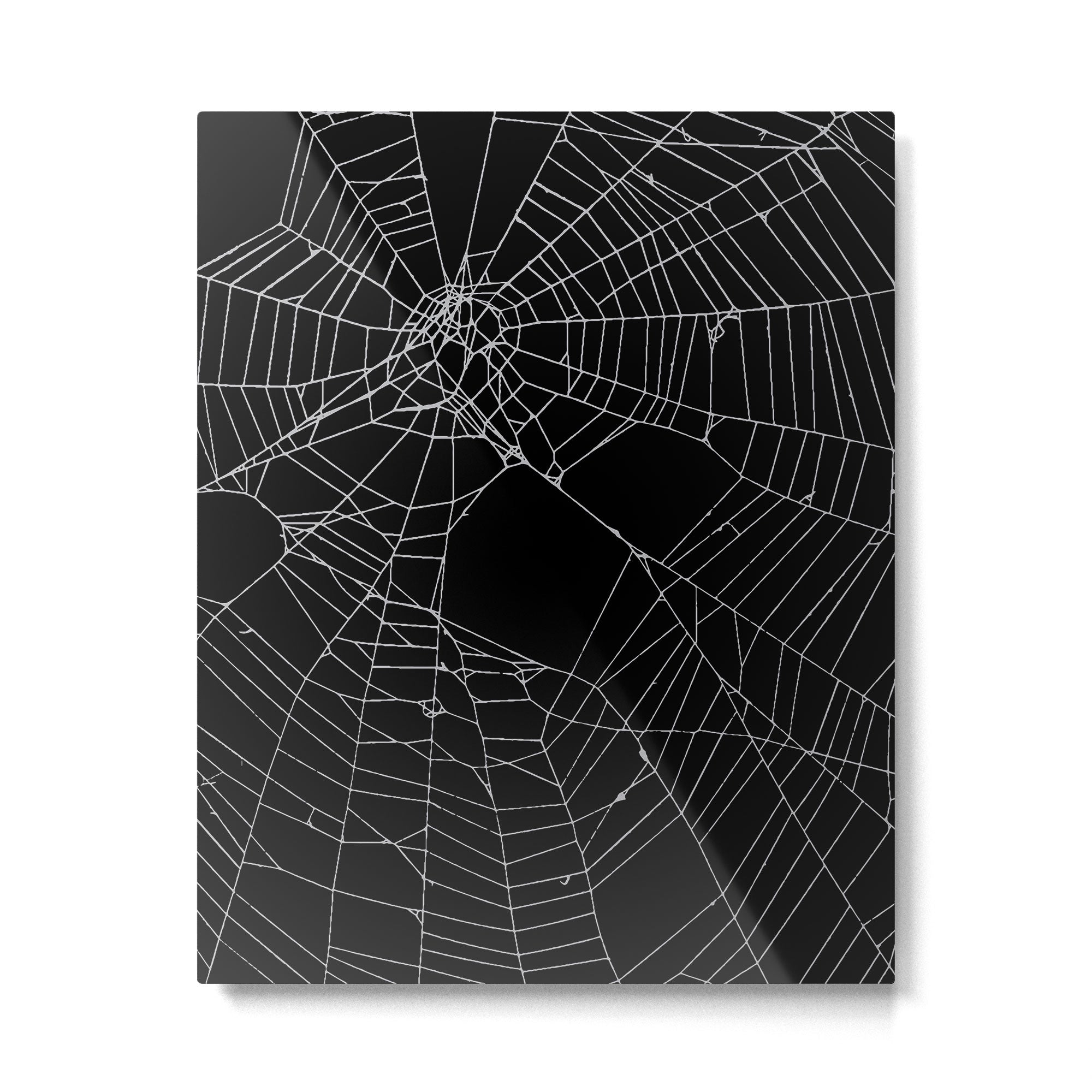 SpiderWeb Web Metal Print Gallery Image 6