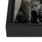 Hi, we are the mountain goats Framed Canvas Print Gallery Image 3