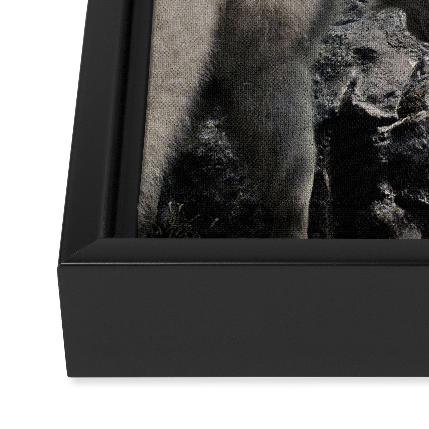 Hi, we are the mountain goats Framed Canvas Print Gallery Image 3