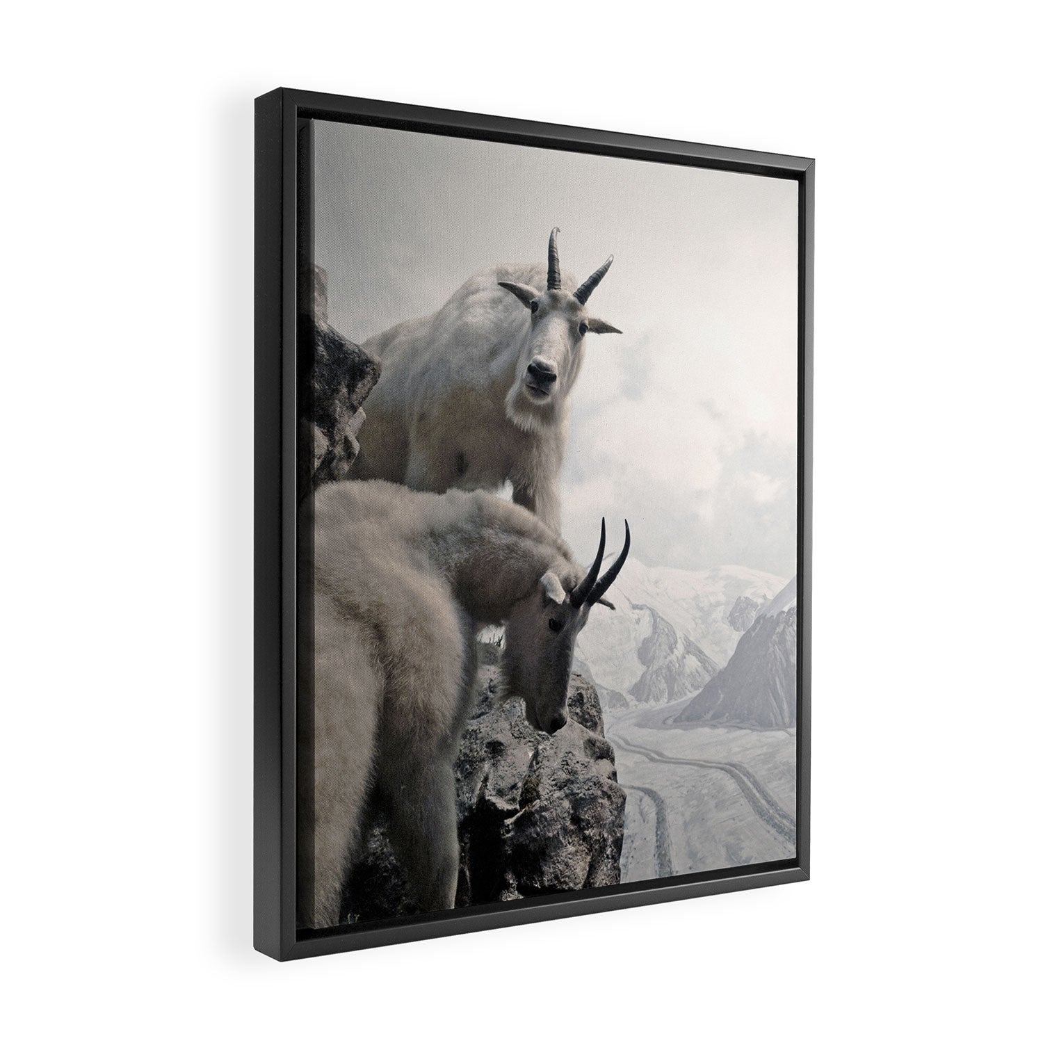 Hi, we are the mountain goats Framed Canvas Print Gallery Image 2