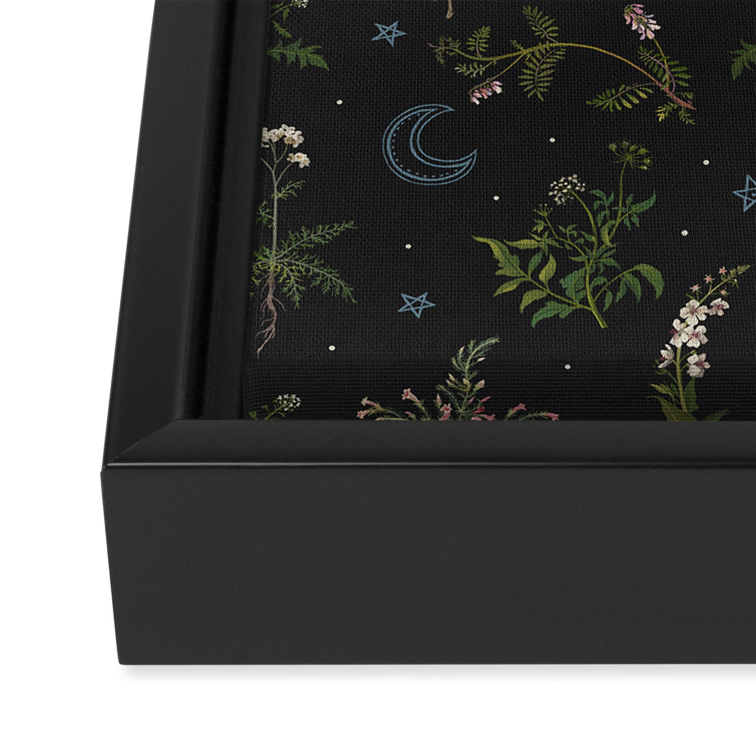 Witches Garden Framed Canvas Print Gallery Image 3